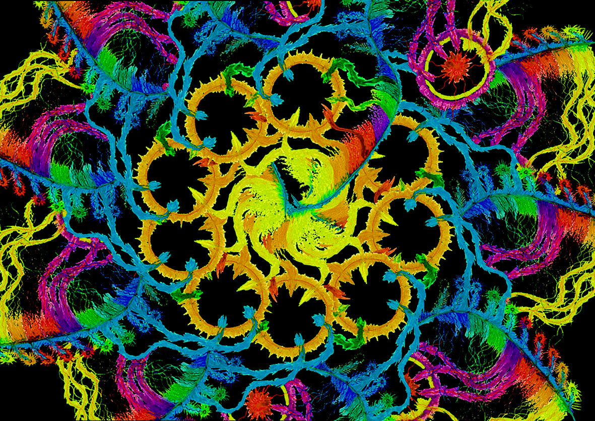 QUANTUM ENTANGLEMENT.. Digital download