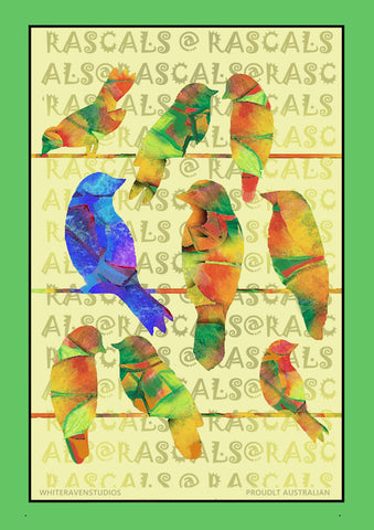 3. FOLIO 1. CHITTER CHATTER  - digital downloads