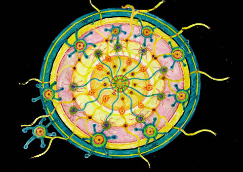 OVUM.. Digital download