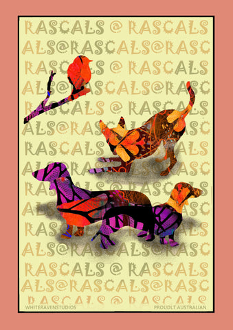 27. FOLIO 3. BALL - WHAT BALL ?  - digital downloads