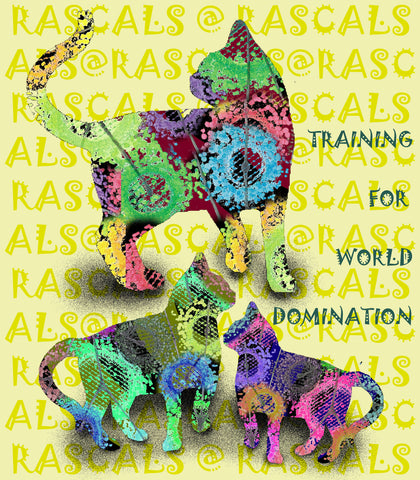 RASCALS TEXTILES - KATZ - T SHIRT