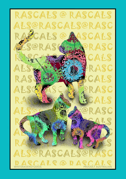 KATZ.. don't need to explain    - DIGITAL DOWNLOAD