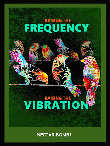FREQUENCY - digital downloads