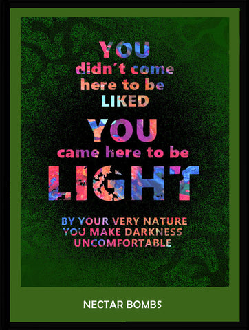 YOU CAME HERE - digital downloads