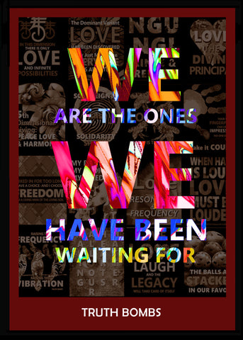WE ARE THE ONES.. - digital download