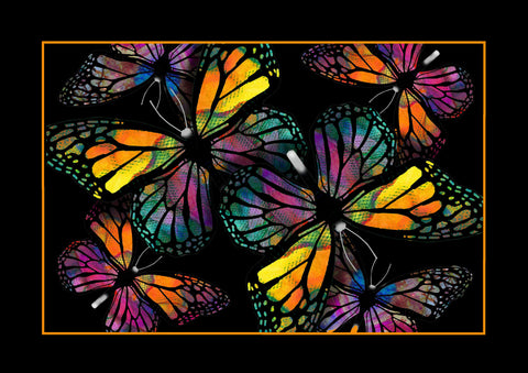 TIME TO FLY [F] EXHIBITION edition  [FRAMING VERSION]