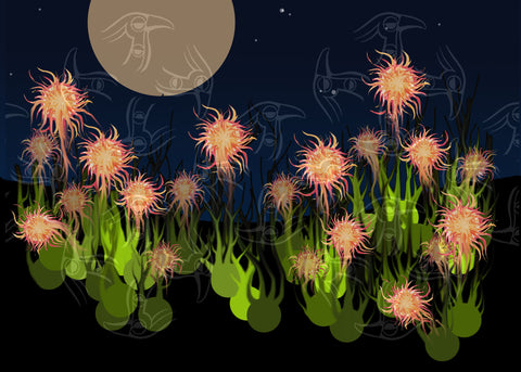 MOON GARDEN